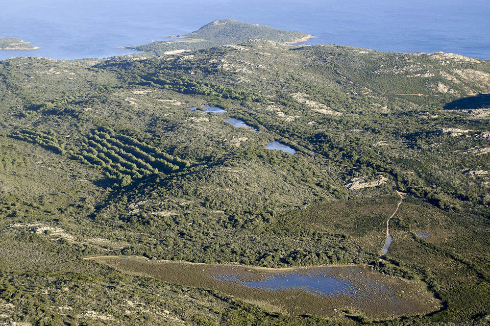 Vue aérienne de la Réserve Naturelle des Tre Padule de Suartone